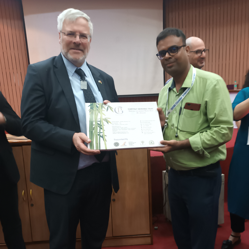 Image Caption