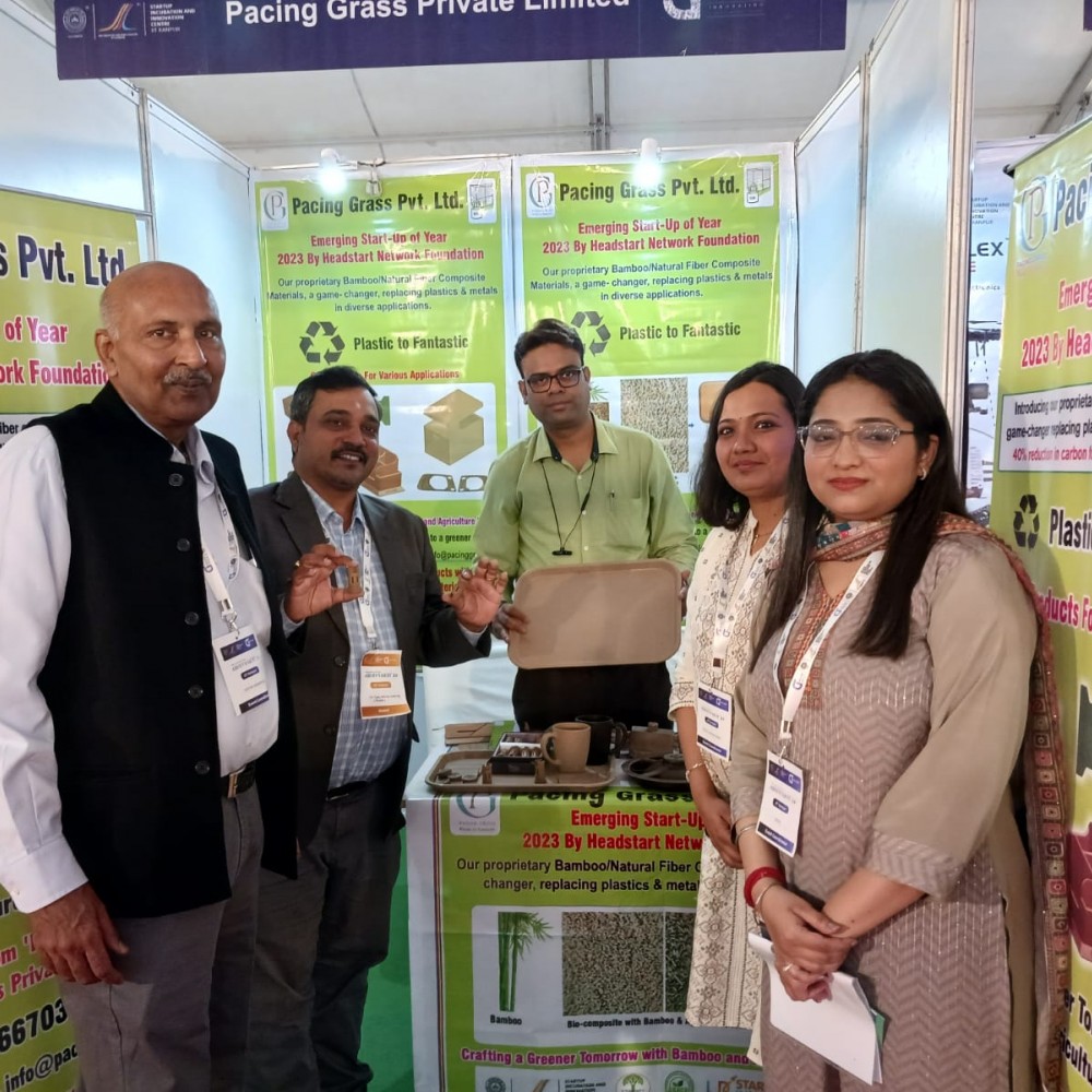 Image Caption