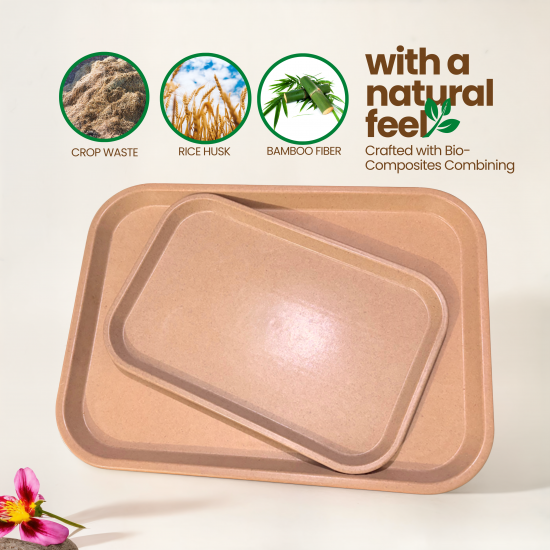 Tray Set – 1 Large & 1 Small
