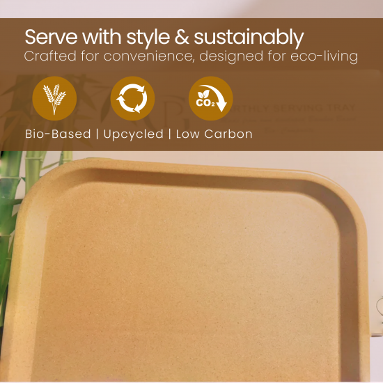 Tray Set – 1 Large & 1 Small