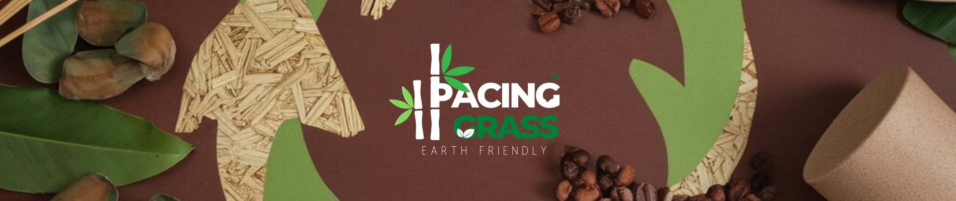 Innovating for a Greener Tomorrow: The Vision Behind Pacing Grass Innovating for a Greener Tomorrow: The Vision Behind Pacing Grass