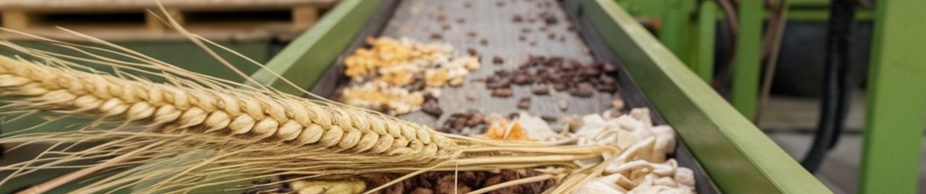 From Waste to Wonder: How Pacing Grass Turns Crop Residues into Valuable Products From Waste to Wonder: How Pacing Grass Turns Crop Residues into Valuable Products