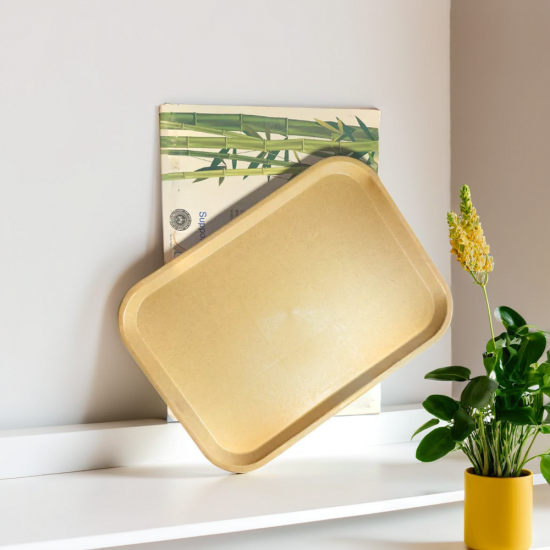 Serving Tray (30x20CM) 