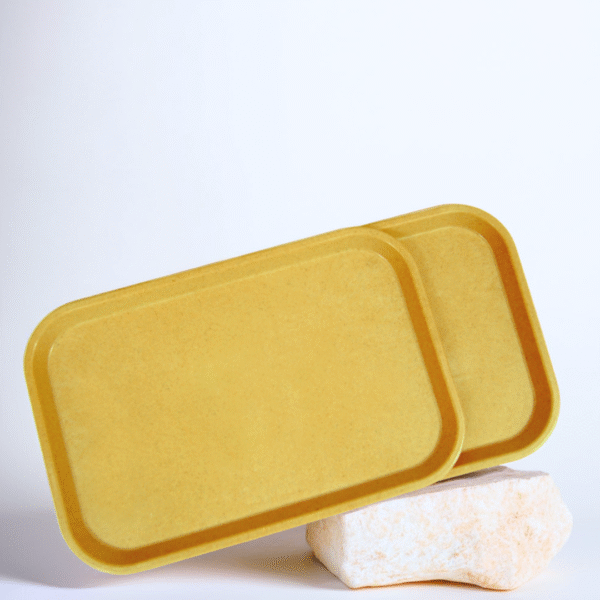 Eco-Friendly Bamboo Composite Serving Tray Set (2pc)