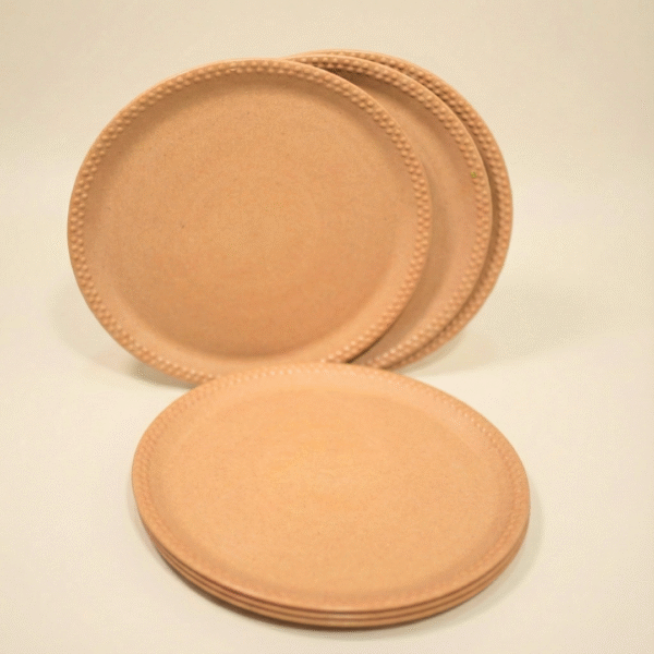 Set of 6 Bamboo Dinner Plates 10.5 Inch Microwave Safe
